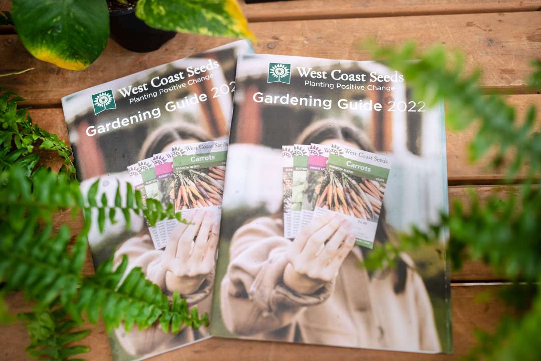 Seed Starting Supplies Gardenworks